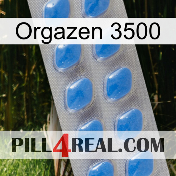 Orgazen 3500 22